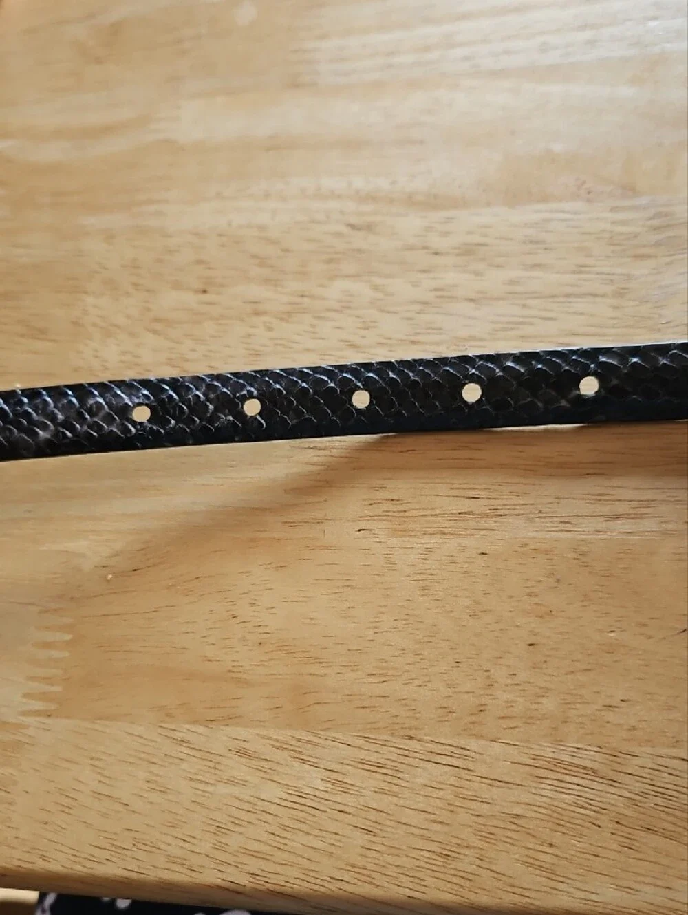 Brighton Black Snakeskin Textured Leather Belt with Silver Buckle